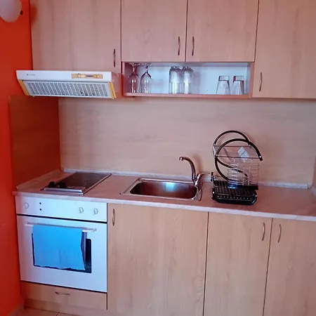 златна дюна - до южния плаж на 公寓 内塞伯尔